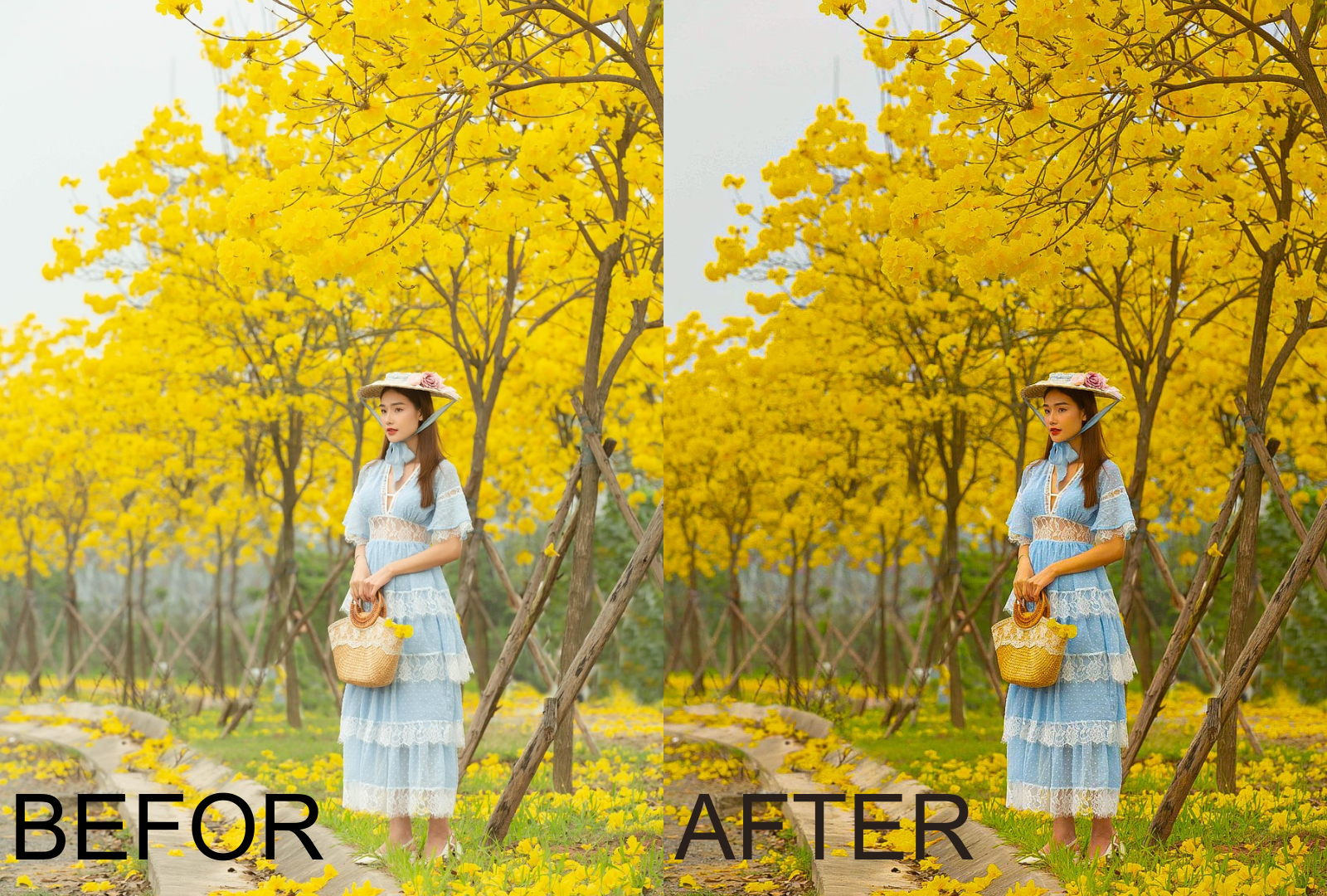 Say Goodbye to Boring Photos - Image 3