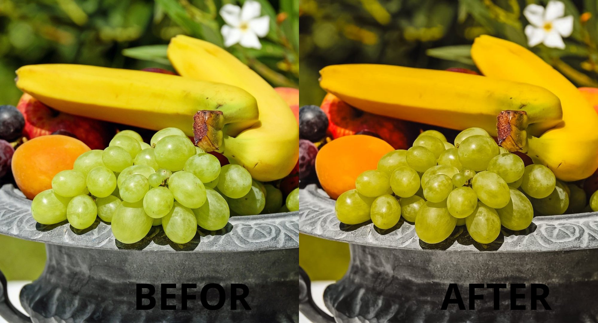Say Goodbye to Boring Photos - Image 9